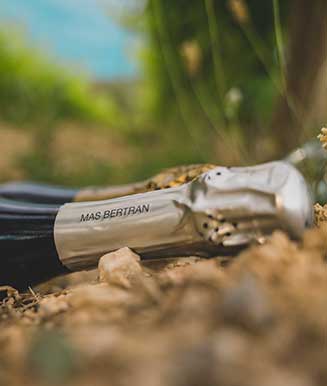 Ampolla de vi artesà de celler Penedès Mas Bertran estirada a terra