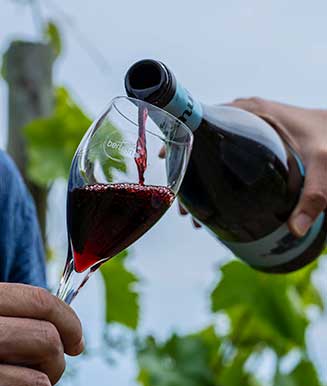 Vino tinto artesano del Penedès siendo servido en una copa en una degustación de vinos