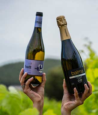 Mans sostenint dos vins del Penedès de denominació d'origen per a tast de vins Barcelona